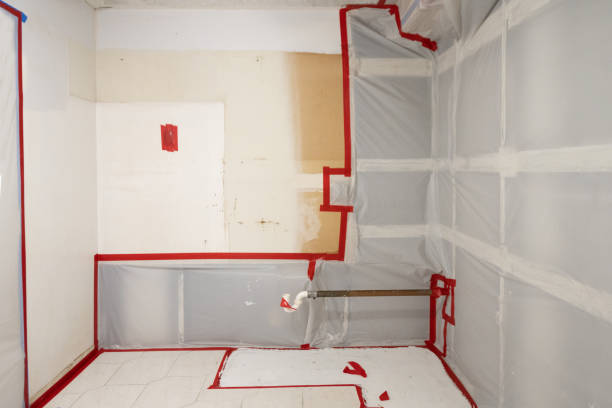 Best Real Estate Mold Inspection  in Park City, MT